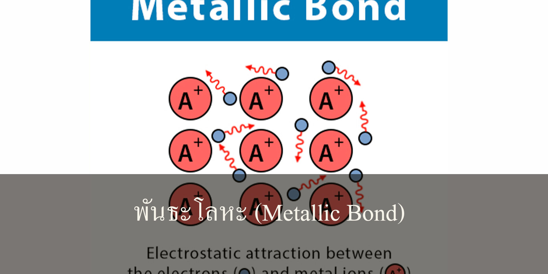พันธะโลหะ (Metallic Bond)