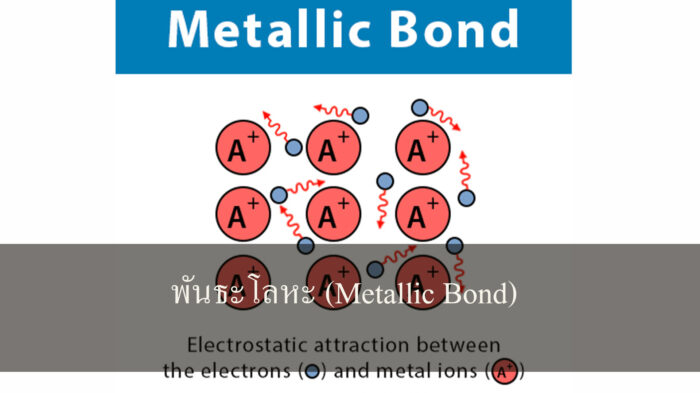 พันธะโลหะ (Metallic Bond)
