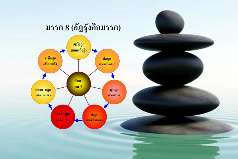 มรรค8