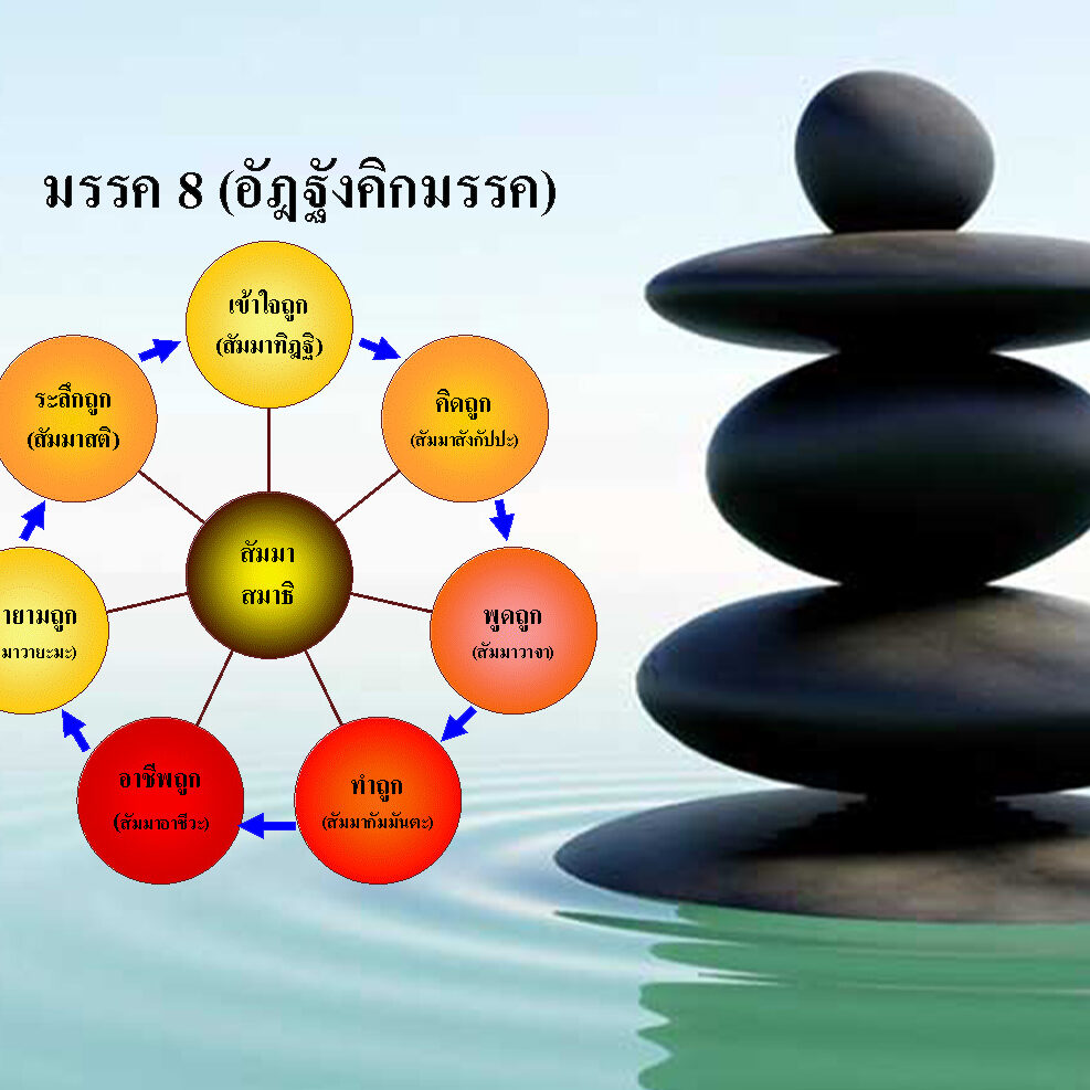 มรรค8