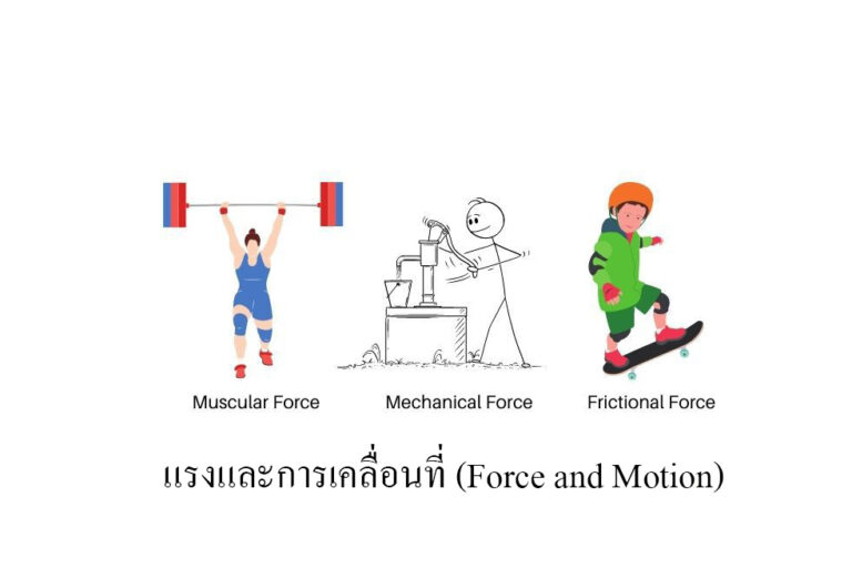 แรงและการเคลื่อนที่ (Force and Motion)