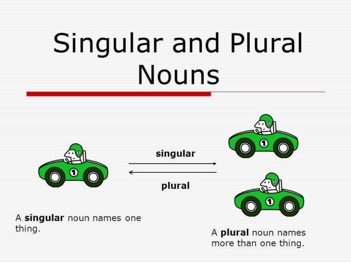 Singular Noun and Plural Noun