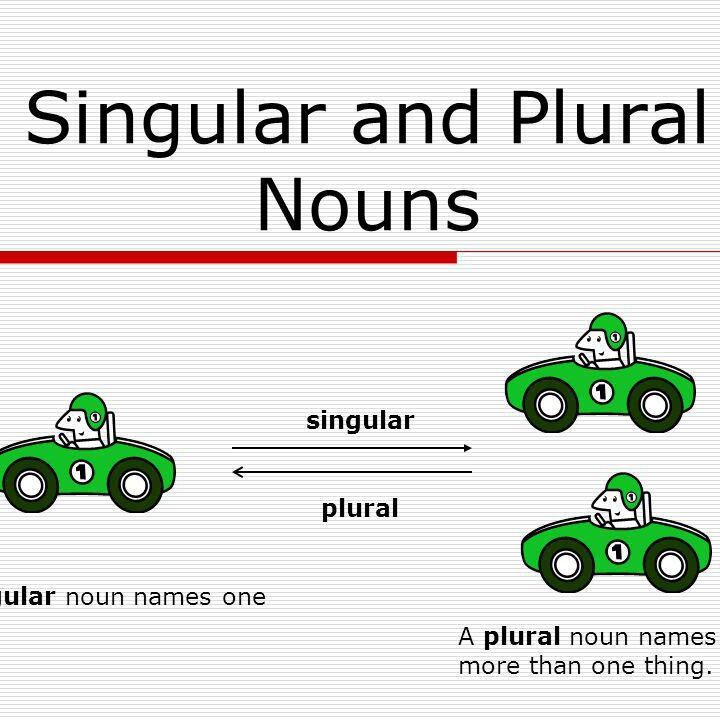 Singular Noun and Plural Noun