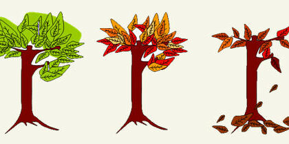 ใบไม้เปลี่ยนสี