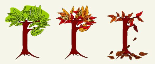 a ใบไม้เปลี่ยนสี