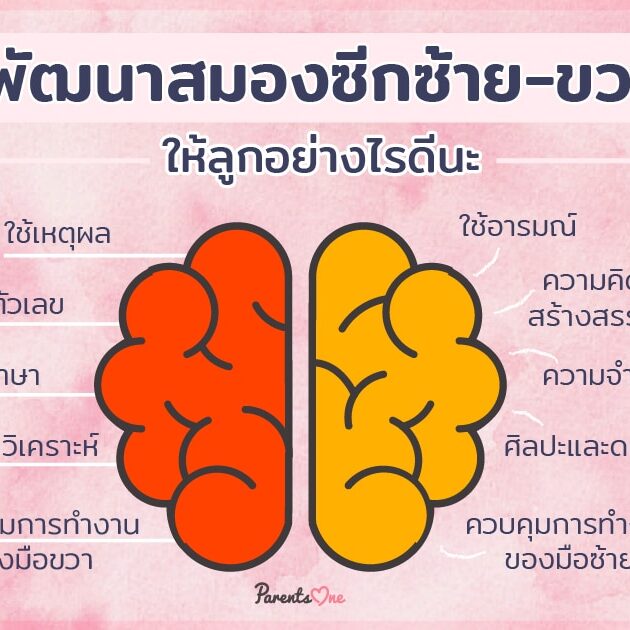 how-to-improve-left-and-right-brain
