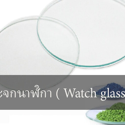 กระจกนาฬิกา ( Watch glass )