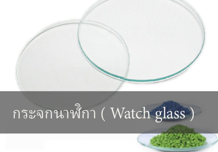 กระจกนาฬิกา ( Watch glass )