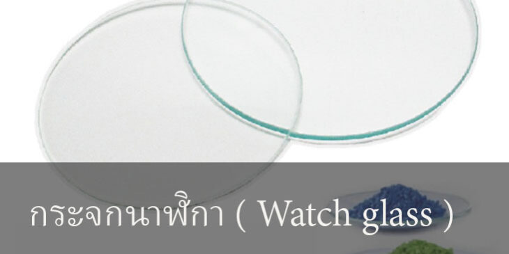 กระจกนาฬิกา ( Watch glass )