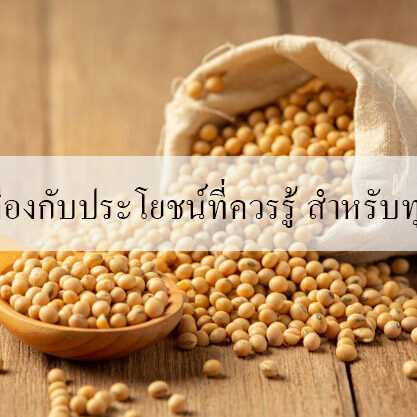 ถั่วเหลืองกับประโยชน์ที่ควรรู้ สำหรับทุกวัย