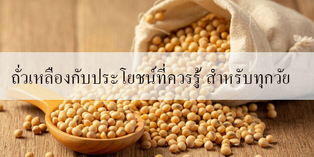 ถั่วเหลืองกับประโยชน์ที่ควรรู้ สำหรับทุกวัย