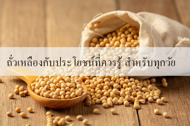 ถั่วเหลืองกับประโยชน์ที่ควรรู้ สำหรับทุกวัย