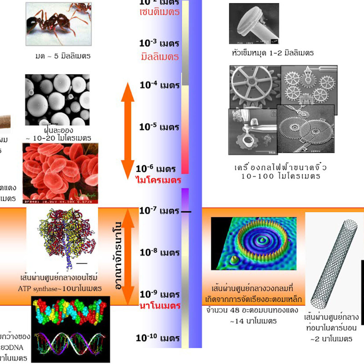 นาโนเทคโนโลยี (Nanotechnology)