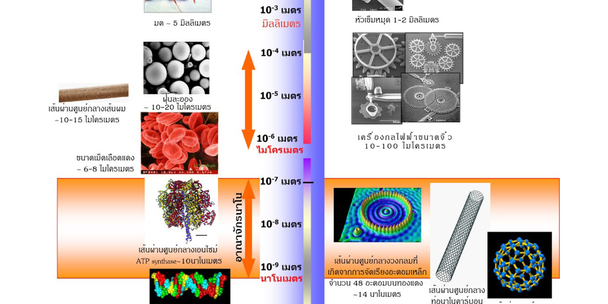 นาโนเทคโนโลยี (Nanotechnology)