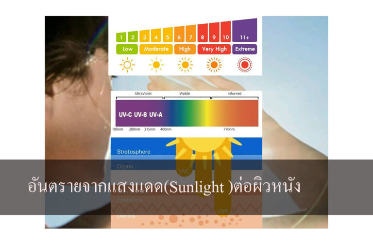 อันตรายจากแสงแดด(Sunlight )ต่อผิวหนัง