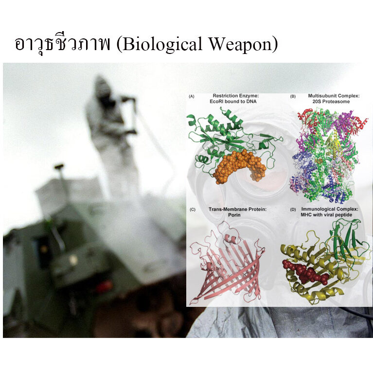 อาวุธชีวภาพ (Biological Weapon)