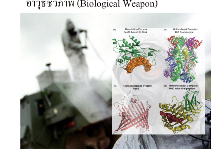 อาวุธชีวภาพ (Biological Weapon) อาวุธชีวภาพ (Biological Weapon)