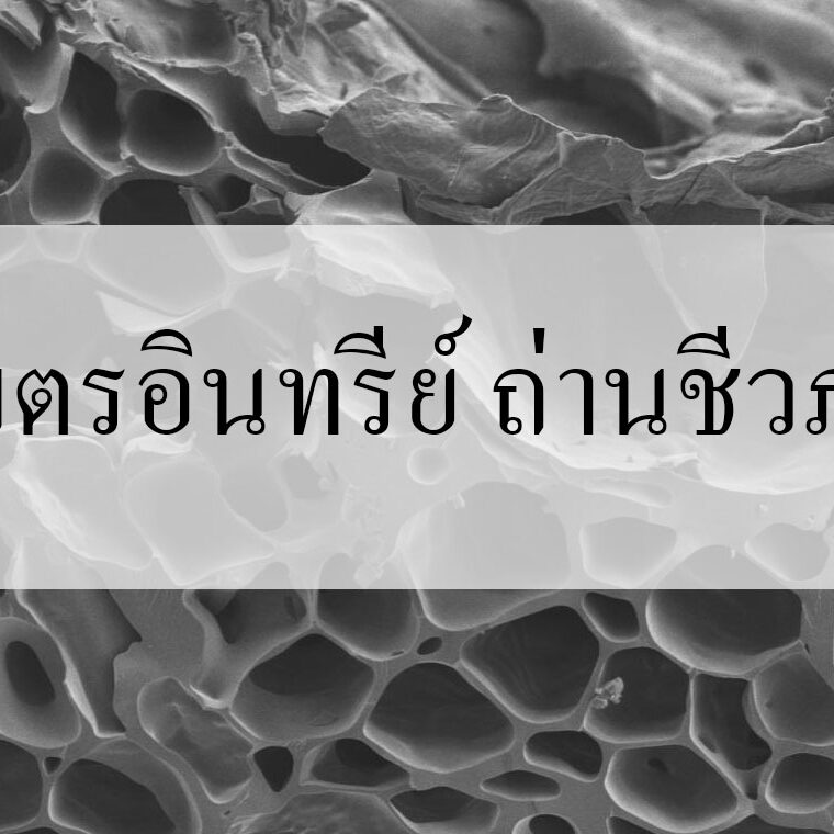 เกษตรอินทรีย์ ถ่านชีวภาพ