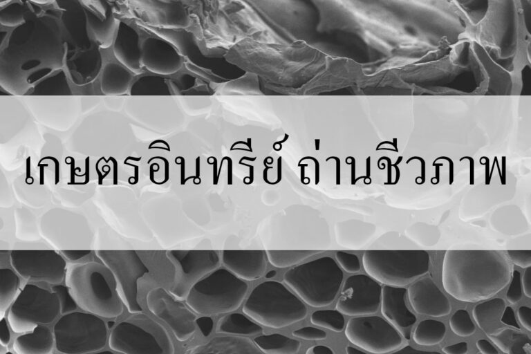 เกษตรอินทรีย์ ถ่านชีวภาพ