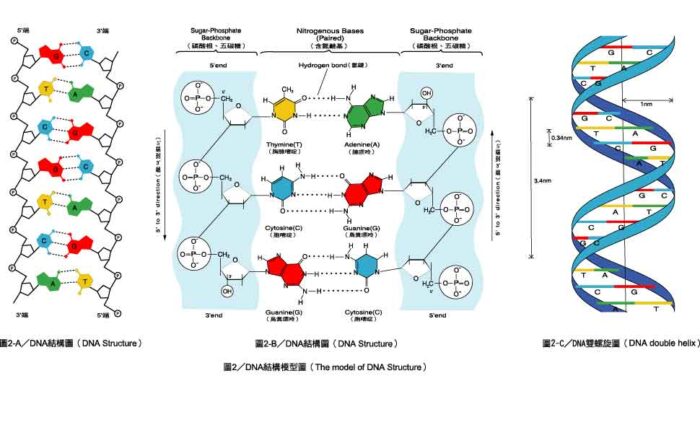 เคมีที่เป็นพื้นฐานของชีวิต