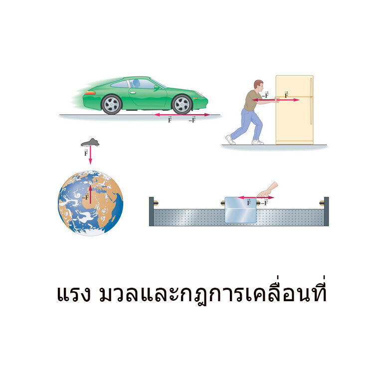 แรง มวล และกฏการเคลื่อนที่ สมดุลต่อการเคลื่อนที่
