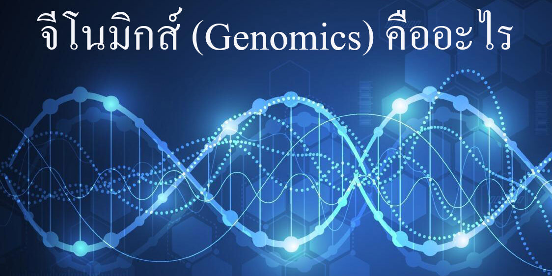 จีโนมิกส์ (Genomics)