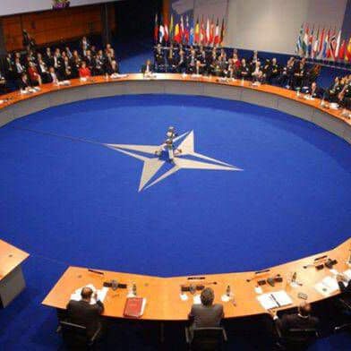 นาโต (Nato) นาโต (Nato)
