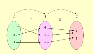  ฟังก์ชัน (Function)