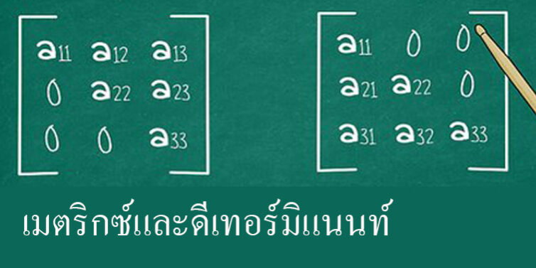 เมตริกซ์และดีเทอร์มิแนนท์ (Matrix and Determinant)