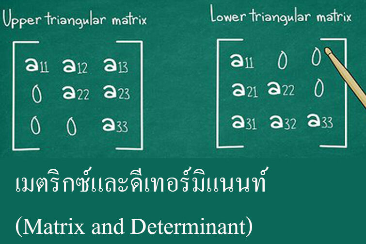 เมตริกซ์และดีเทอร์มิแนนท์ (Matrix and Determinant)