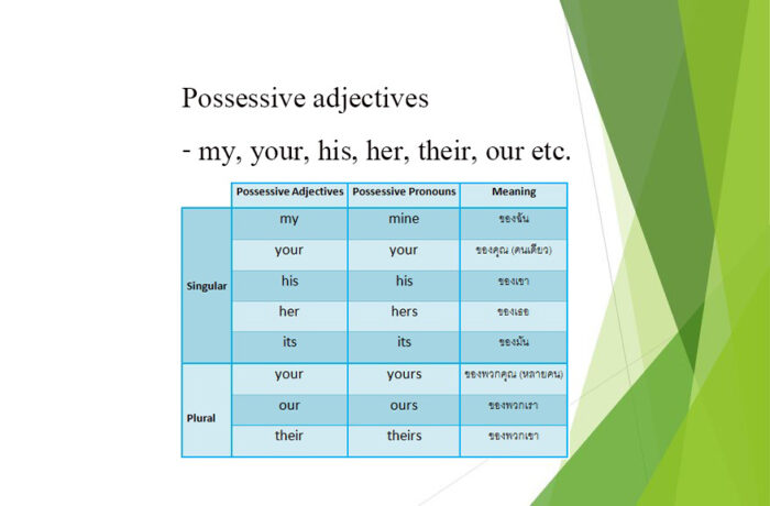 Possessive adjectives - my, your, his, her, their, our etc.