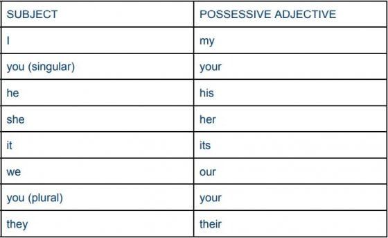 The possessive adjectives in English are as follows: