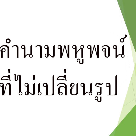 คำนามพหูพจน์ที่ไม่เปลี่ยนรูป