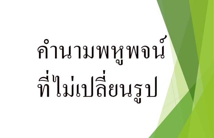 คำนามพหูพจน์ที่ไม่เปลี่ยนรูป