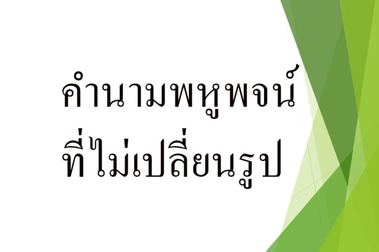 คำนามพหูพจน์ที่ไม่เปลี่ยนรูป