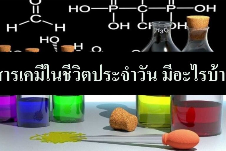 สารเคมีในชีวิตประจําวัน มีอะไรบ้าง สารเคมีในชีวิตประจําวัน มีอะไรบ้าง