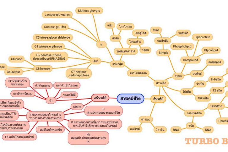 ชีววิทยา เพิ่มเติมวิทยาศาสตร์และเทคโนโลยี ชีววิทยา ชั้นมัธยมศึกษาปีที่ 6 เพิ่มเติมวิทยาศาสตร์และเทคโนโลยี ชีววิทยา ชั้นมัธยมศึกษาปีที่ 6