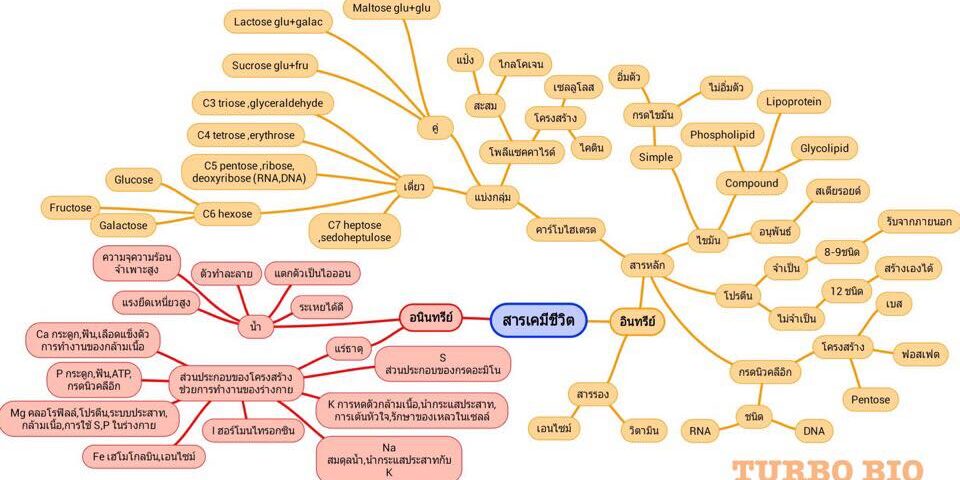 เพิ่มเติมวิทยาศาสตร์และเทคโนโลยี ชีววิทยา ชั้นมัธยมศึกษาปีที่ 6