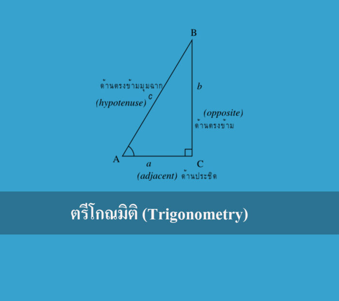 ตรีโกณมิติ (Trigonometry)