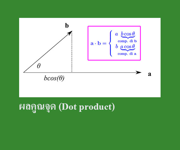 เวกเตอร์ผลคูณเชิงสเกลาร์ ผลคูณจุด (Dot product)