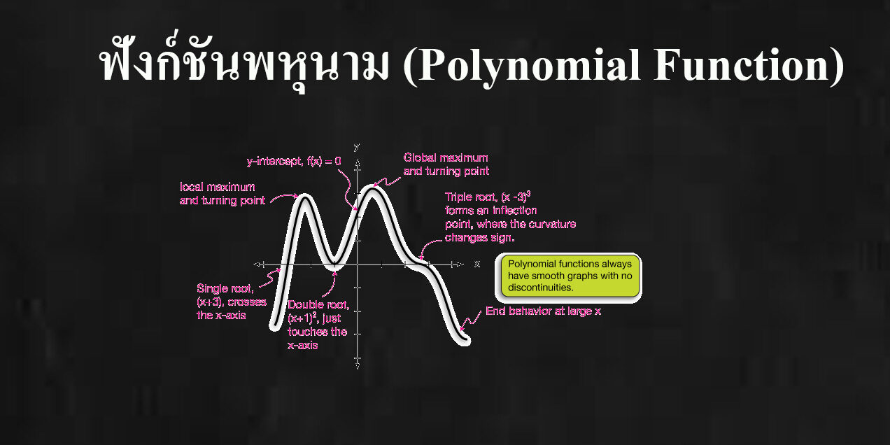 ฟังก์ชันพหุนาม (Polynomial Function) ฟังก์ชันพหุนาม (Polynomial Function)