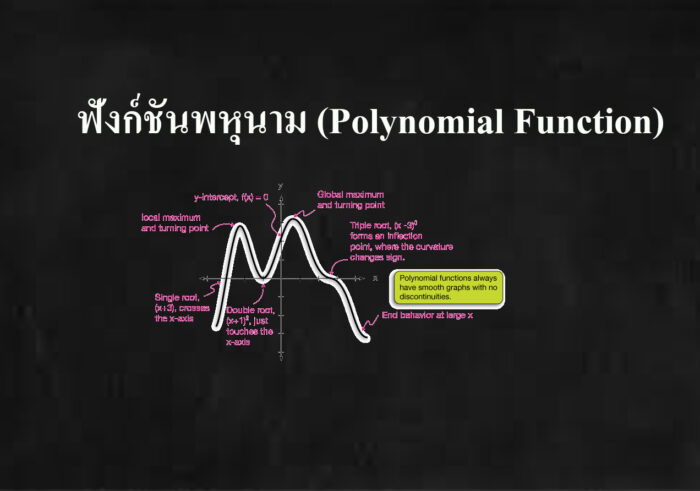 ฟังก์ชันพหุนาม (Polynomial Function)