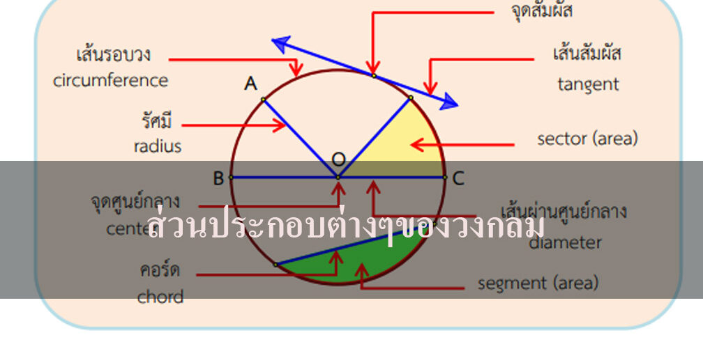 ส่วนประกอบต่างๆของวงกลม