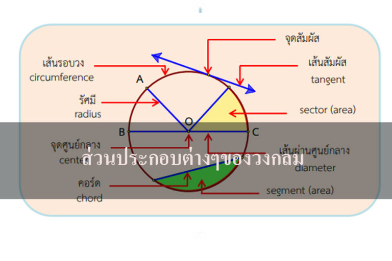 ส่วนประกอบต่างๆของวงกลม
