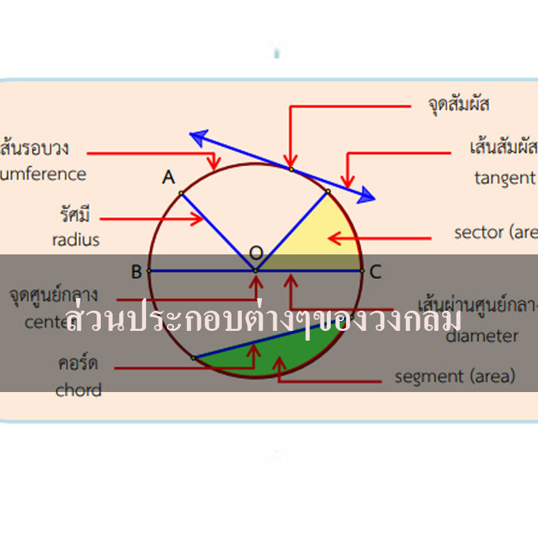 ส่วนประกอบต่างๆของวงกลม