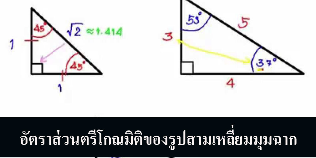 อัตราส่วนตรีโกณมิติของรูปสามเหลี่ยมมุมฉาก