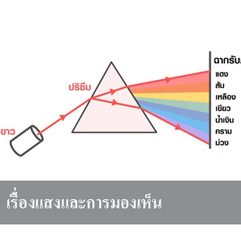 เรื่องแสงและการมองเห็น เรื่องแสงและการมองเห็น