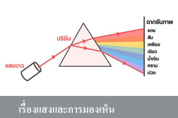 เรื่องแสงและการมองเห็น เรื่องแสงและการมองเห็น