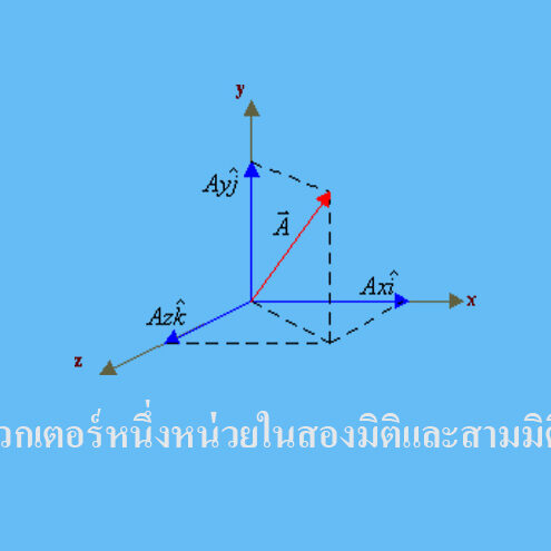 เวกเตอร์หนึ่งหน่วยในสองมิติและสามมิติ