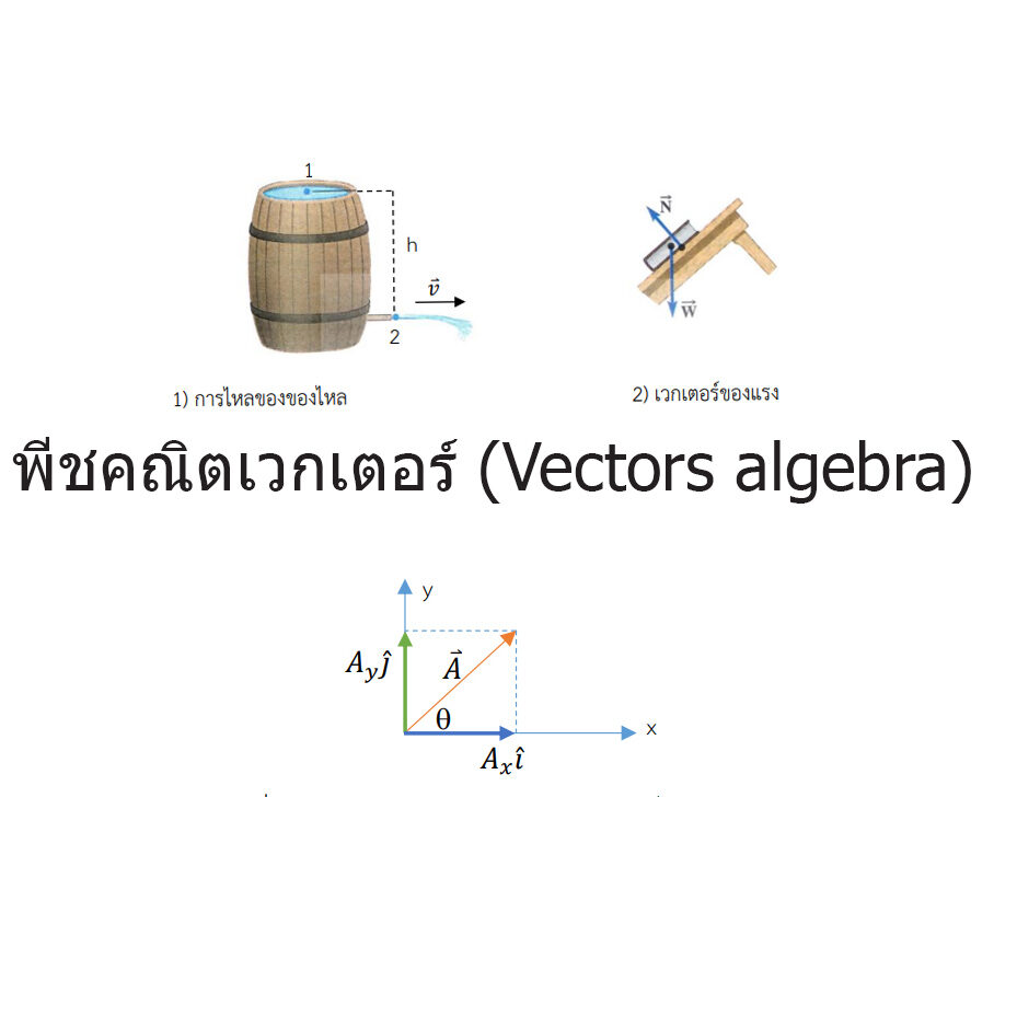 vector